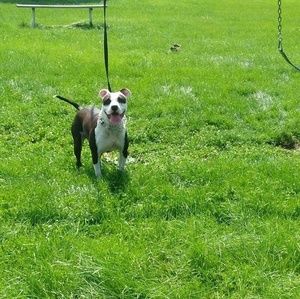 Meet your Posher, Mike steph